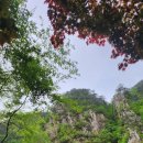 희양산토담펜션 이미지