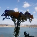 보노돈까스 이미지