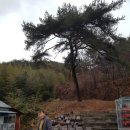 해송생복집 이미지