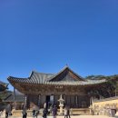 금강찻집 | 양산 통도사 겨울 방문기 영축총림 통도사 대웅전 금강계단 참배 후기