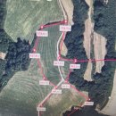 정동진공인중개사사무소 이미지