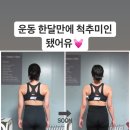 엑스위치 이미지