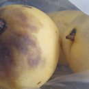 한라농산 이미지