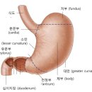 위암 수술 후 및 항암치료 관리 이미지