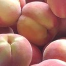 향로농장 이미지