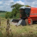 대농2농장 이미지