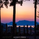 창선낚시 | 버드하우스캠핑장 이곳의 매력을 살펴보는 이유