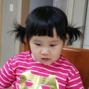 코끼리휴병원 이미지