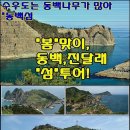 ◆ 4월19일~20일[1박2일]소매물도&미륵산&수우도 이미지