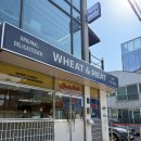 (주)위트메디컬투어 | 혼밥투어 위트앤미트 / 갓덴스시 / 신사골감자탕 양재 26.04월 후기