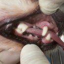 창생동물병원 이미지