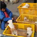 삼례시장 이미지