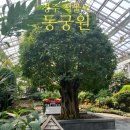 추모의집(2관) 공중화장실 | 경주 동궁원 식물원 주차 입장료 겨울 경주 가볼만한곳
