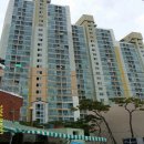 초읍동-23 이미지