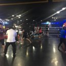 신촌킥복싱&MMA 이미지