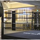 153 복싱짐 이미지