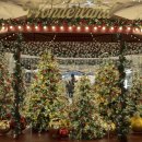 도시철도 교대역 3번출구 | 12월여행지 겨울밤을 밝히는 부산축제 BEST3 부산야경명소 추천