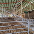 형관축산 이미지