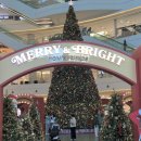12월 원예: 미리 만나는 크리스마스 | 미리 만나는 크리스마스 타임스퀘어 초대형 트리 라이트쇼 관람