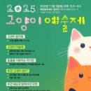 제주고양이