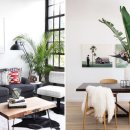 식물 인테리어 이미지