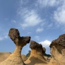 M호텔 | 대만 여행 타이베이 숙소 추천 &#39;시티즌M 타이베이 노스 게이트&#39; 호텔 후기 (내돈내산)