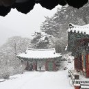 송계사 - 1860 | 송계사