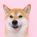 광안동물병원 이미지