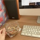 삼육 두유 당캐치 고소하고 든든하게~ 마음까지 캐치!