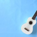 일반인우쿨렐레 이미지