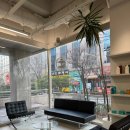 정자일로232번길 이미지