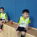 중앙기독초 이미지