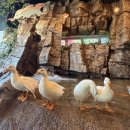 연수종합슈퍼 | 인천 송도 동물원/ 테이블 에이 앤 우쥬 /송도 데이트코스 아이들 가볼만한 곳 후기