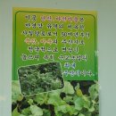 백구한식 이미지