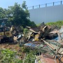 일선농장 이미지