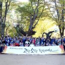 이지모비스 이미지