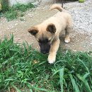 로뎀 농장 이미지