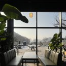 (주)젤코바 | 양평/용문 │ 용문산 근처 내돈내산 대형 카페 추천 @젤코바