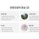 산삼한의원 네이버블로그