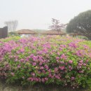 4호공원 이미지