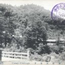 만천교