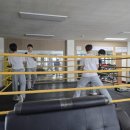 천안 두정 복싱 이미지