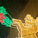 온천천일대12 이미지