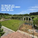 홍성/홍성역차량15분 서해바다 차량10분 정원.태양광.텃밭.창고갖춘 192평/주택27평 2억6천만 이미지