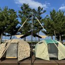 백도오토캠핑장 이미지