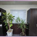 메리트디자인 네이버블로그