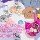 로즈펫 | 강아지목걸이 고민 끝! 두펫 반려견 외장칩 &amp; QR인식표 사용 후기