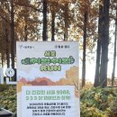 상암 월드컵공원 내 평화의 공원 별자리광장 네이버블로그