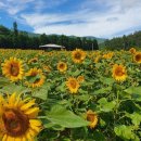 세연정 - 동래구 충렬대로 149 | 세연정