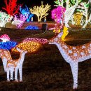 느랭이골자연리조트 이미지